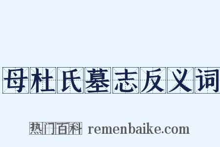 母杜氏墓志反义词是什么意思的图片